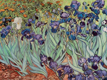Picture of THE IRIS, 1889