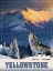 Picture of YELLOWSTONE WOLF