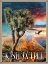 Picture of JOSHUATREE