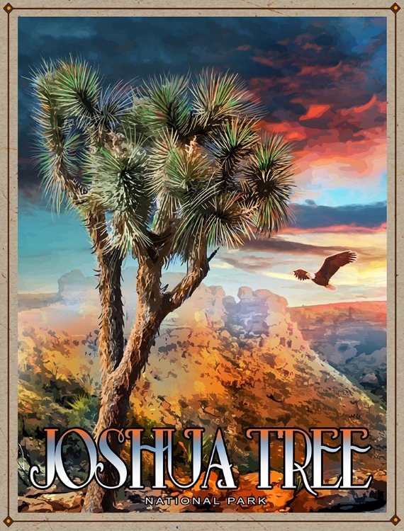 Picture of JOSHUATREE