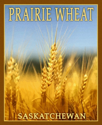 Picture of PRAIRE WHEAT,