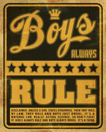 Picture of BOYS RULE2