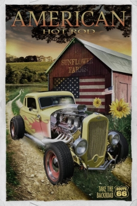 Picture of HOT ROD SUNFLOWER