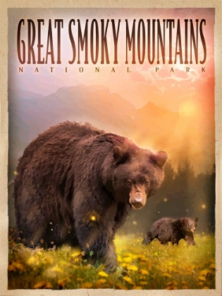 Picture of SMOKEY MOUNTAIN BEARS