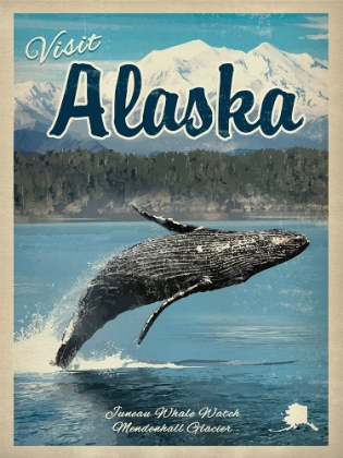 Picture of ALASKA WHALE WATCH
