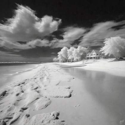 Picture of INFRARED BEACH I