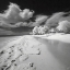 Picture of INFRARED BEACH I