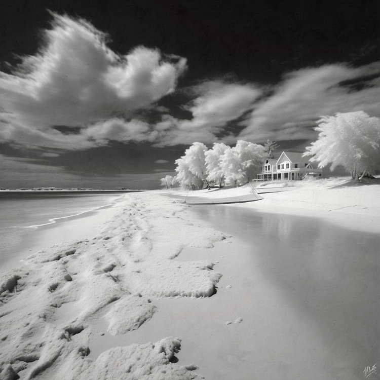 Picture of INFRARED BEACH I