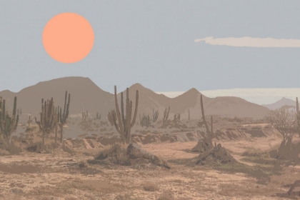 Picture of DESERT DAYLIGHT