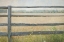Picture of EDGE OF THE FIELD