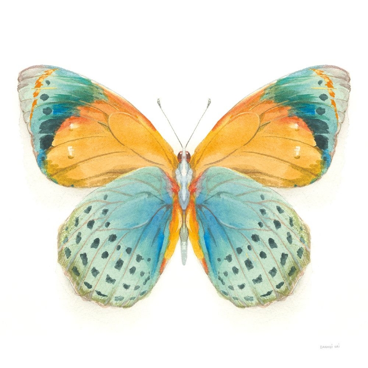 Picture of FRAGILE WINGS BUTTERFLY I