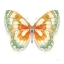 Picture of FRAGILE WINGS BUTTERFLY II