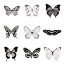 Picture of BW BUTTERFLY CHART
