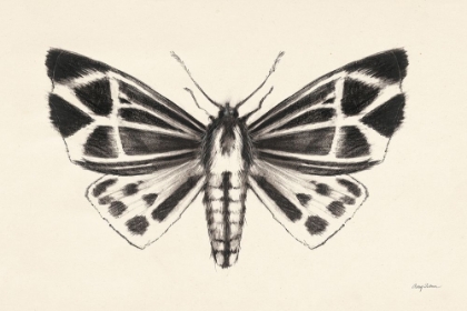Picture of MOTH III
