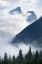 Picture of MOUNTAIN FOG