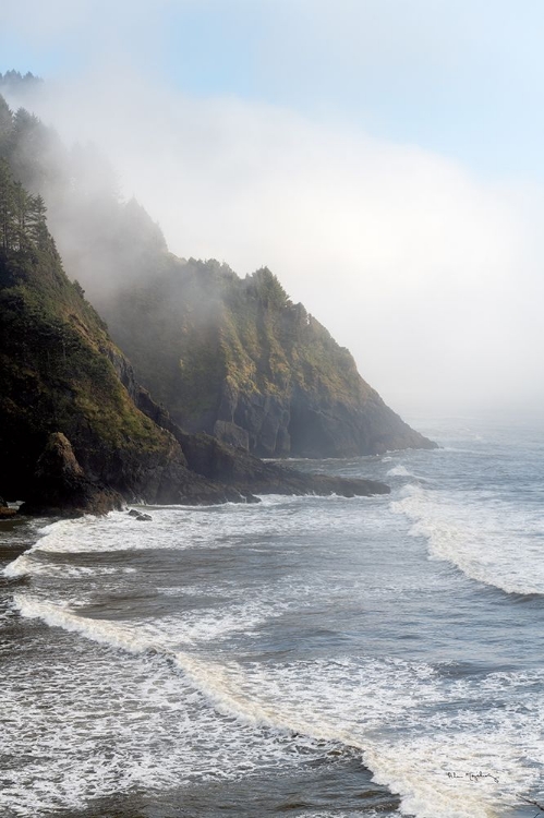 Picture of HECETA HEAD OREGON