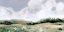 Picture of SOFT SUMMER SKY