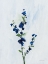 Picture of BLUE STEMS I