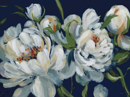 Picture of PEONY SEASON I NAVY