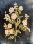 Picture of FLEETING BLOOMS II