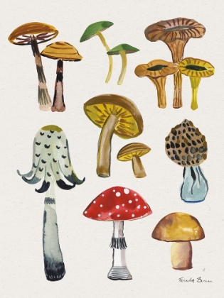 Picture of FOREST MUSHROOMS II CROP