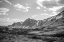 Picture of WYOMING WONDER