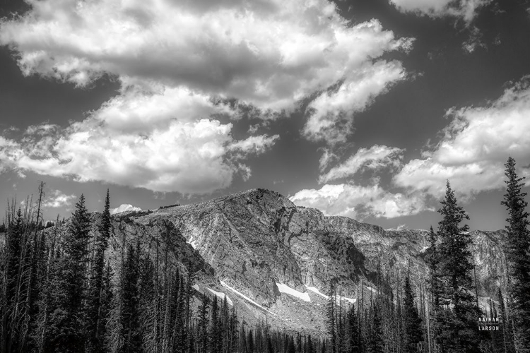 Picture of WYOMING BLUES