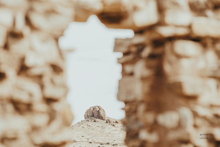 Picture of THROUGH RUINS