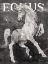 Picture of EQUUS STALLION BW