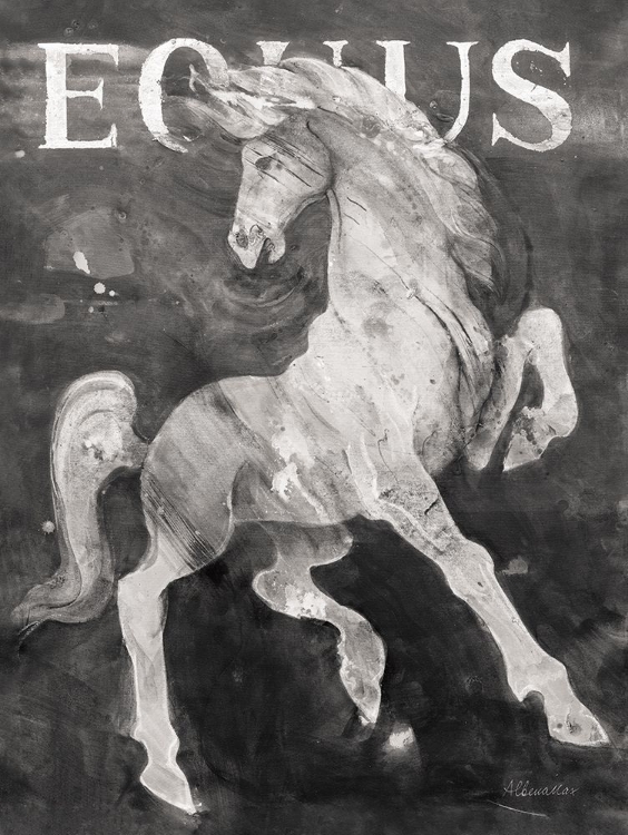 Picture of EQUUS STALLION BW