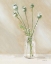Picture of COUNTRY FRESH III WARM