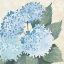 Picture of DECORATIVE HYDRANGEA II PROVIDENCE