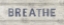 Picture of VICTORIAN BATH WORDS I