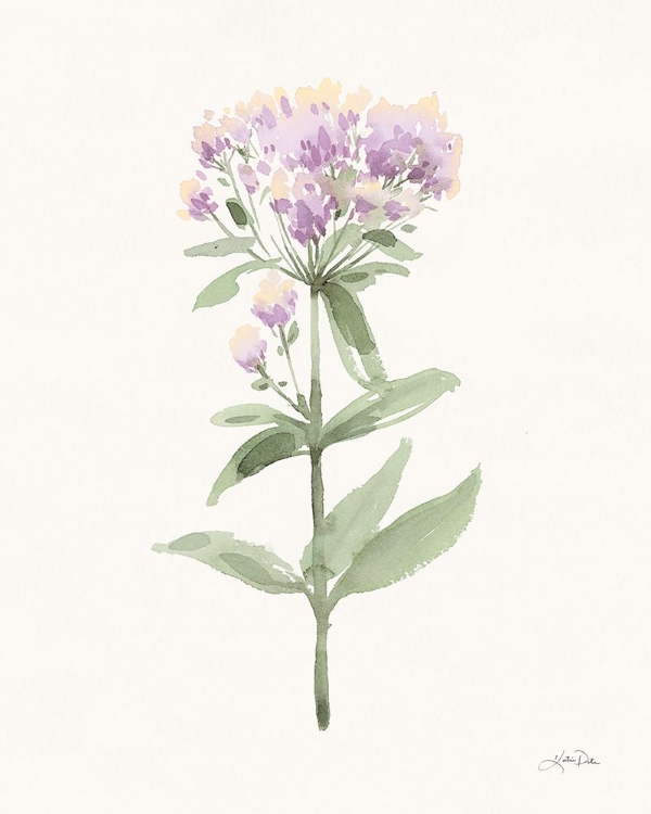 Picture of FLOWERS OF THE WILD II PASTEL