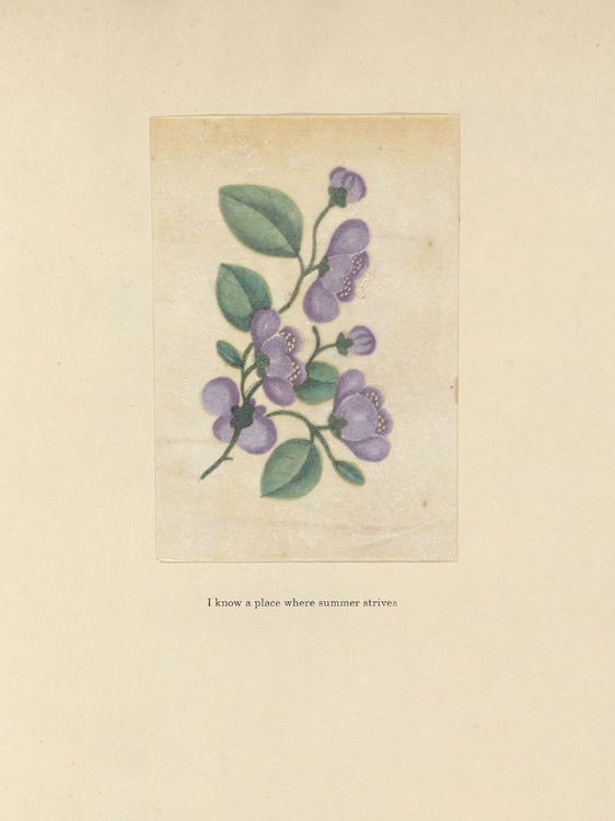 Picture of TEXTBOOK FLORAL PASTEL