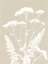 Picture of ALPINE FLOWER I NEUTRAL