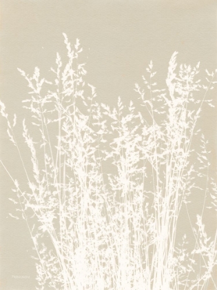 Picture of ORNAMENTAL GRASS I NEUTRAL