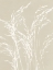 Picture of ORNAMENTAL GRASS V NEUTRAL