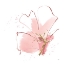 Picture of FLORAL BLOSSOM II