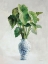 Picture of GREENHOUSE PALM CHINOISERIE I