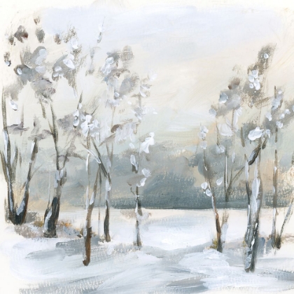 Picture of SNOWY WINTER TREES
