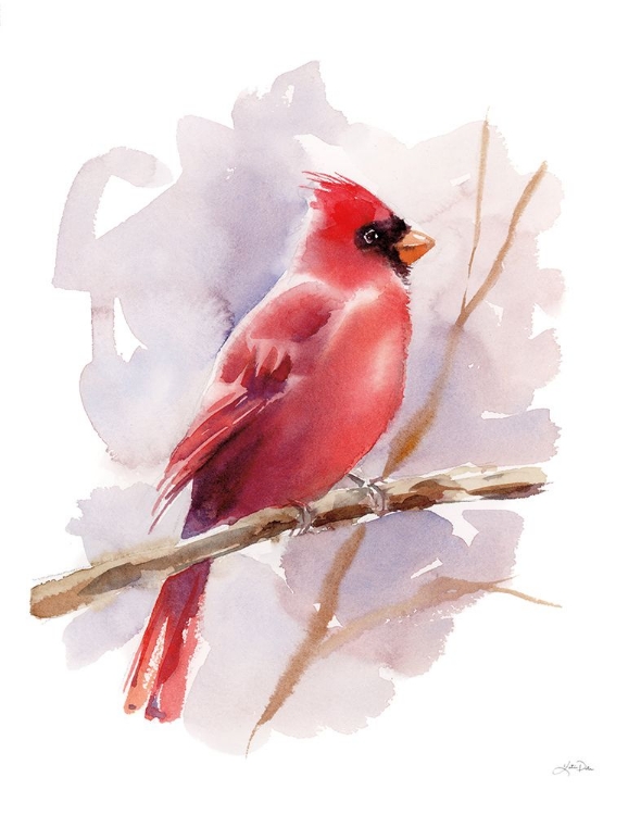 Picture of WINTER CARDINAL