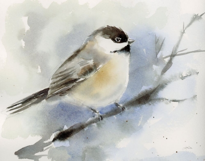 Picture of WINTER CHICKADEE