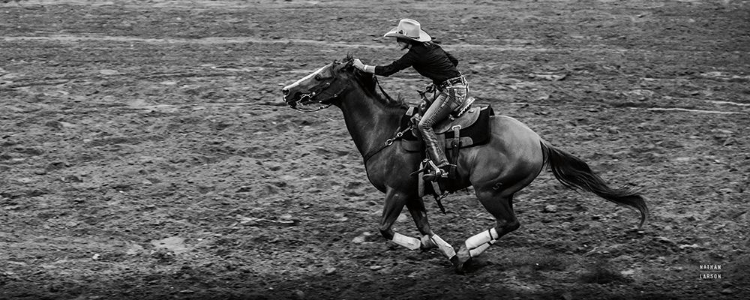 Picture of RODEO II BW