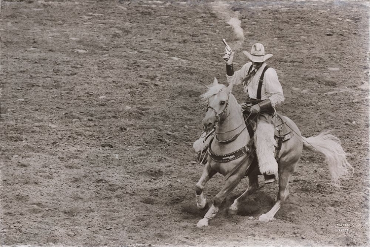 Picture of RODEO I SEPIA