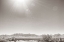 Picture of SOUTHWESTERN SUN