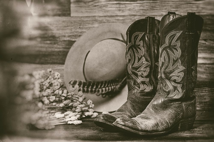 Picture of COWBOY BOOTS II