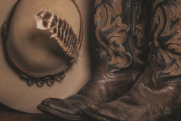 Picture of COWBOY BOOTS VI