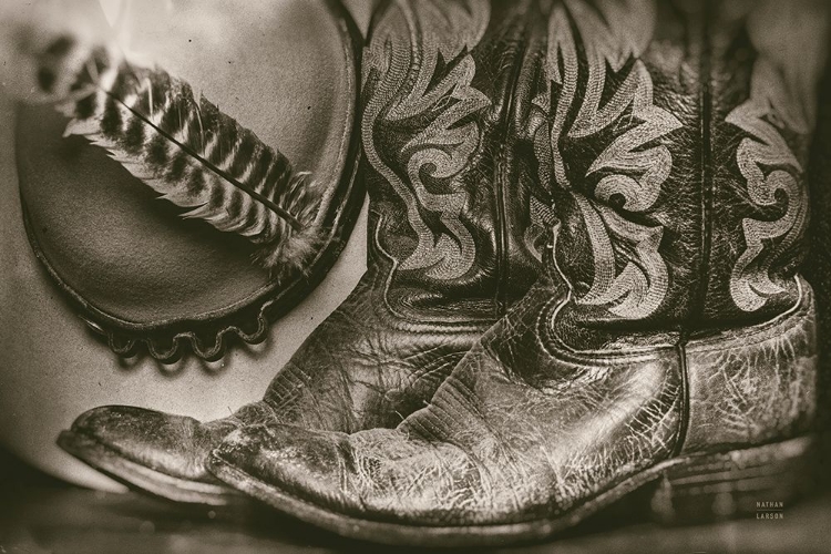 Picture of COWBOY BOOTS VII