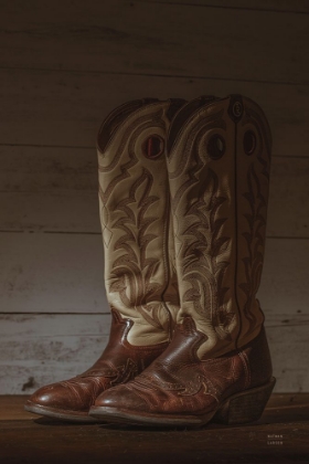 Picture of COWBOY BOOTS VIII